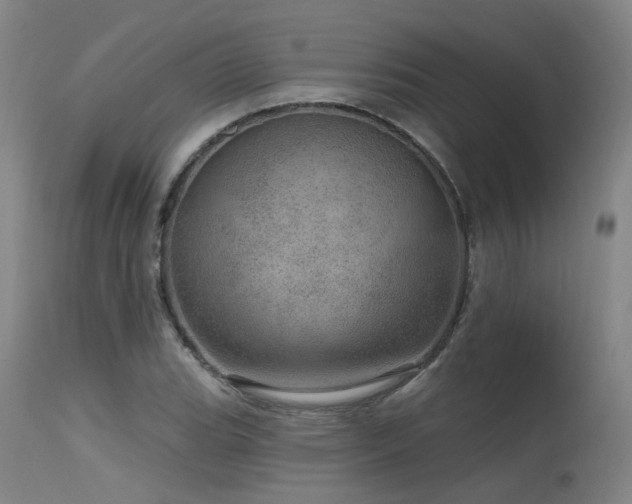 X0000115651119200911101533