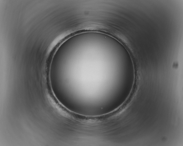 X0000115651122200911101533