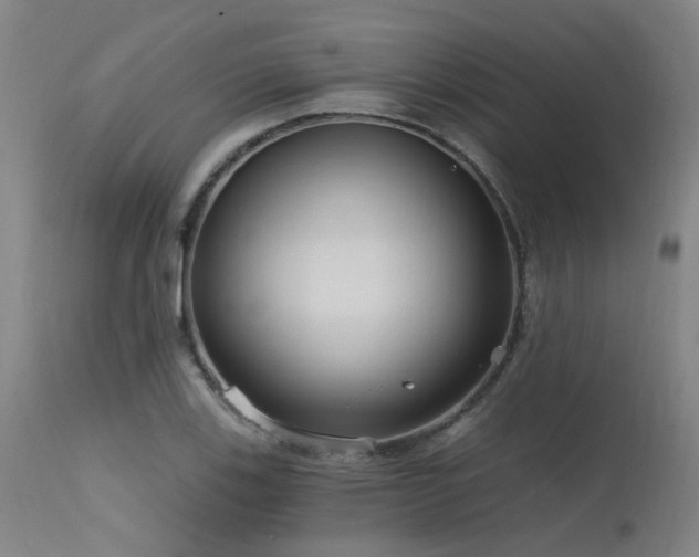 X0000115651123200911101533