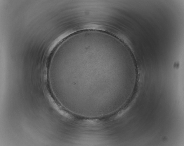 X0000115651125200911101533