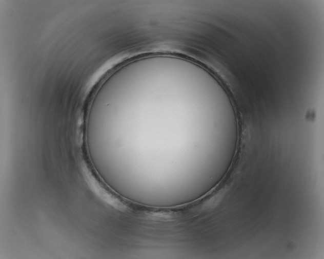 X0000115651126200911101533