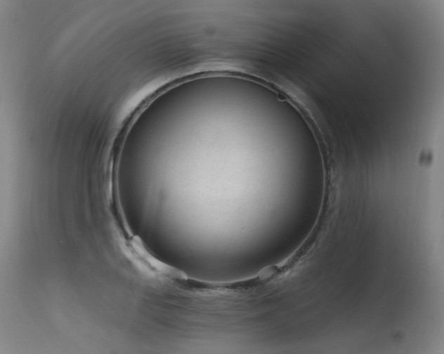 X0000115651127200911101533