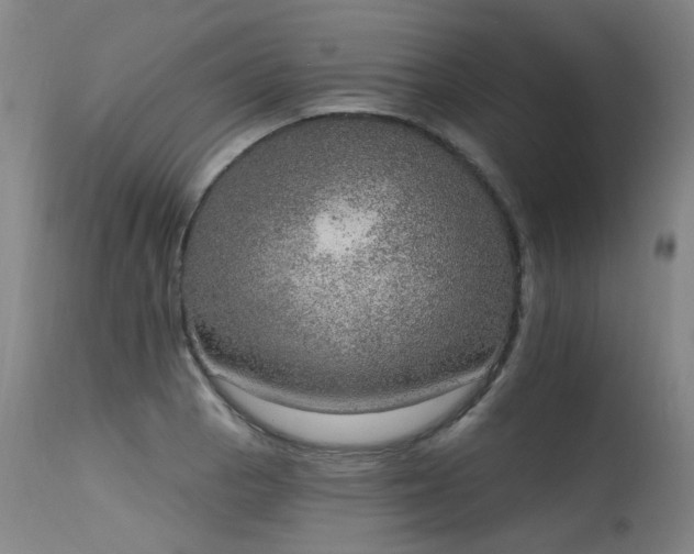 X0000115651129200911101533