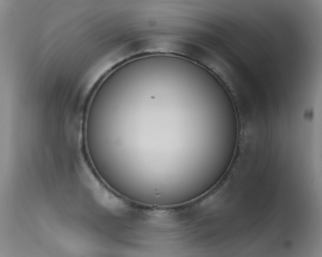 X0000115651130200911101533