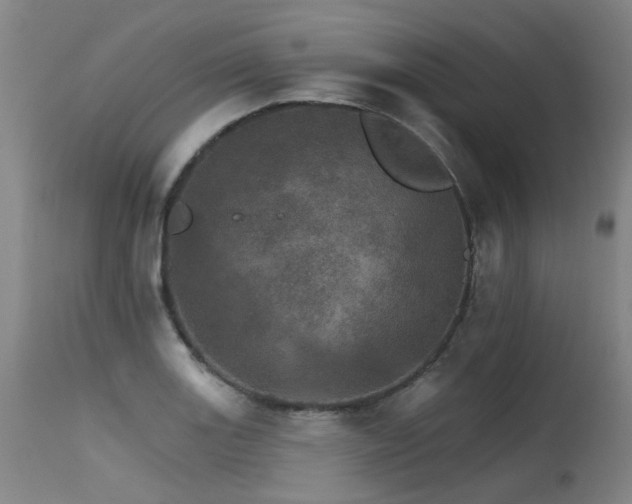 X0000115651131200911101533