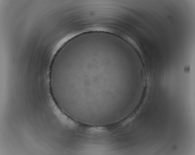 X0000115651133200911101533