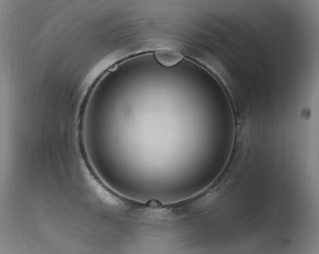 X0000115651135200911101533