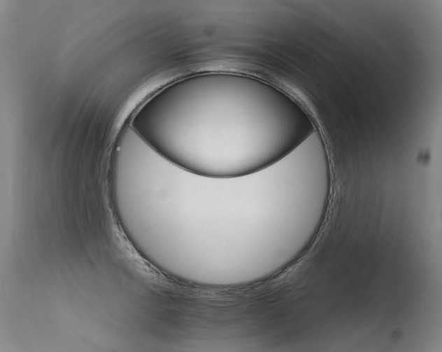 X0000115651138200911101533
