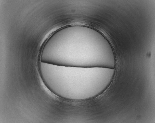 X0000115651139200911101533