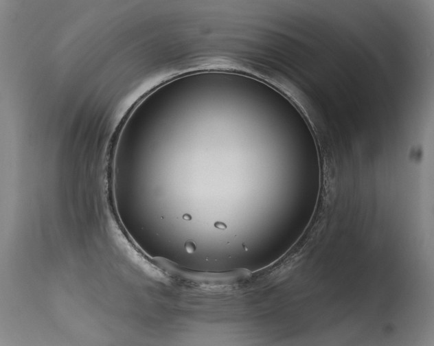 X0000115651142200911101533