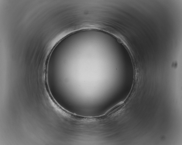 X0000115651143200911101533