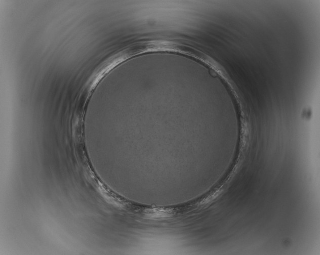 X0000115651145200911101533