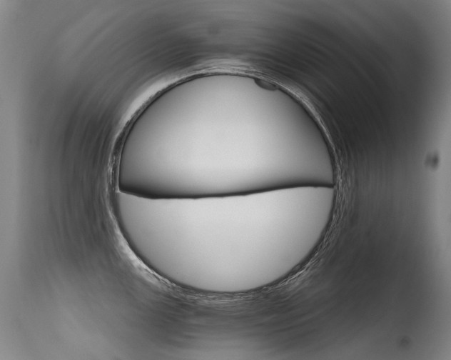 X0000115651147200911101534