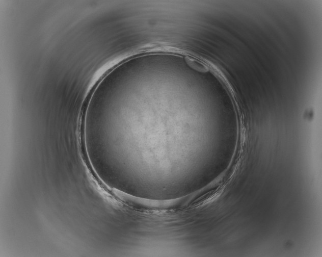 X0000115651149200911101534