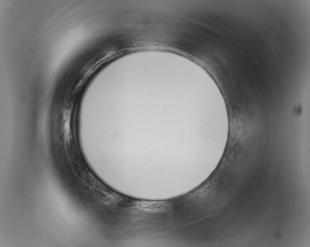 X0000115651150200911101534