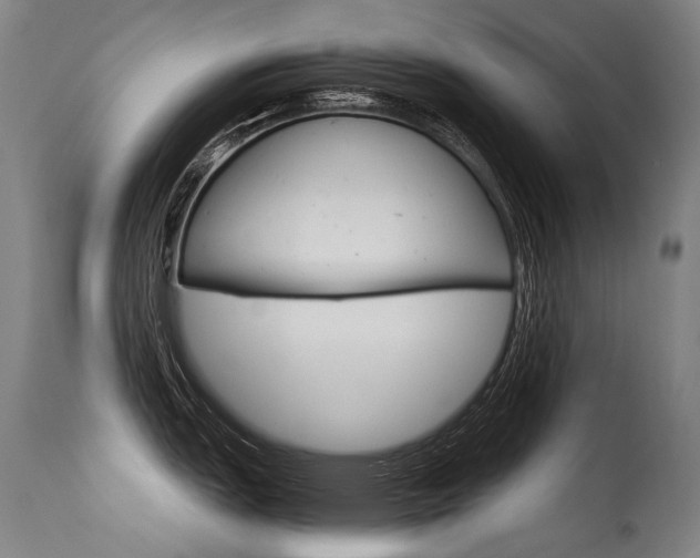 X0000115651151200911101534