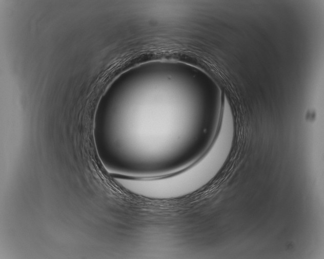 X0000115651153200911101533