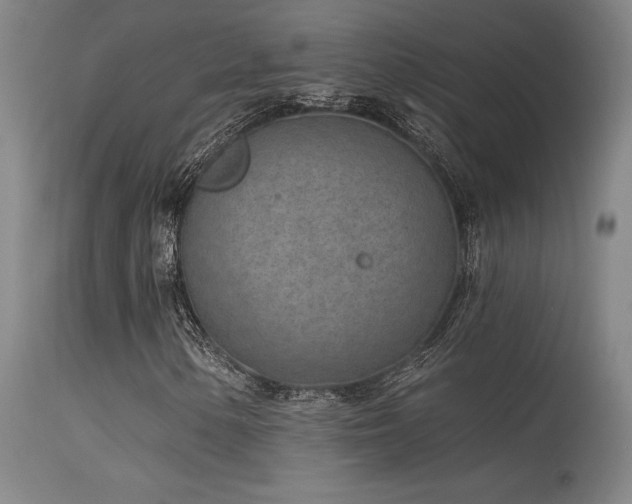 X0000115651154200911101533