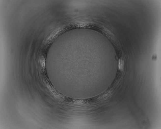 X0000115651155200911101533