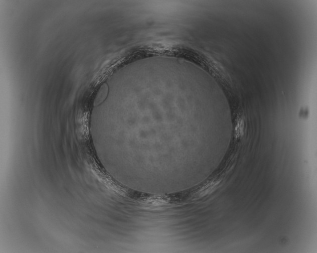 X0000115651156200911101533