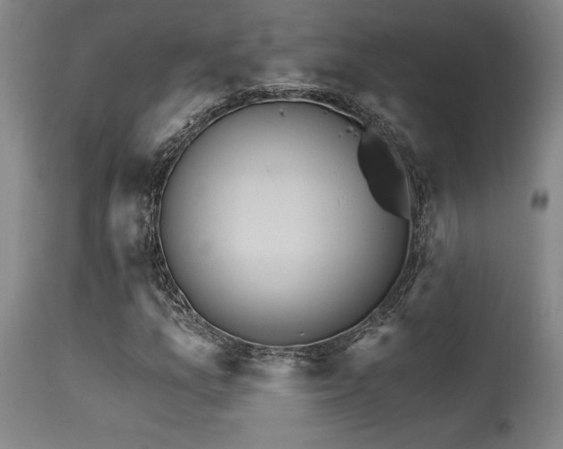 X0000115651157200911101533