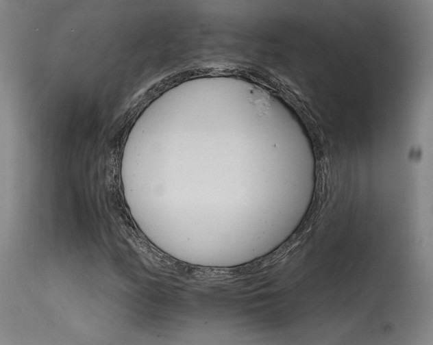 X0000115651158200911101533