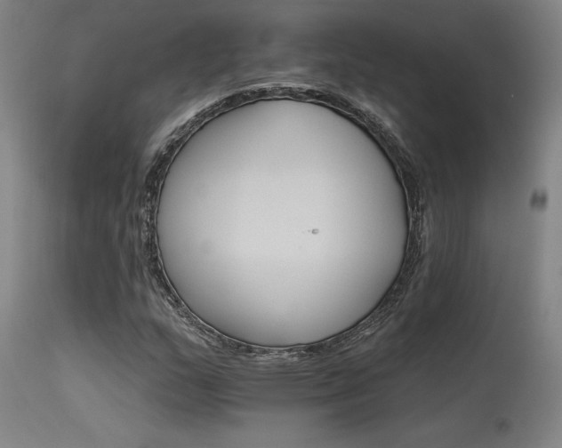 X0000115651159200911101533