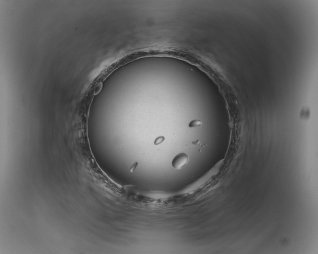 X0000115651160200911101533