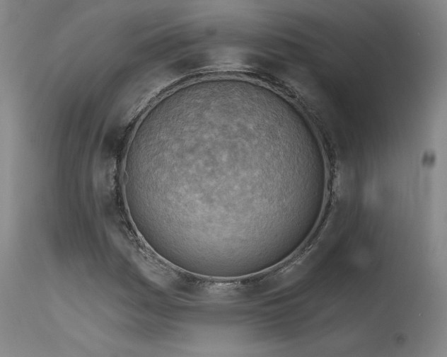 X0000115651161200911101533