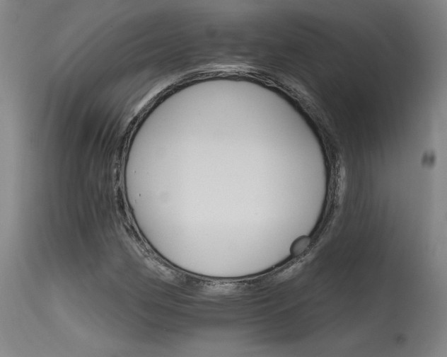 X0000115651162200911101533