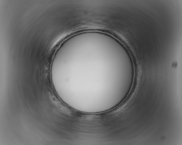 X0000115651163200911101533