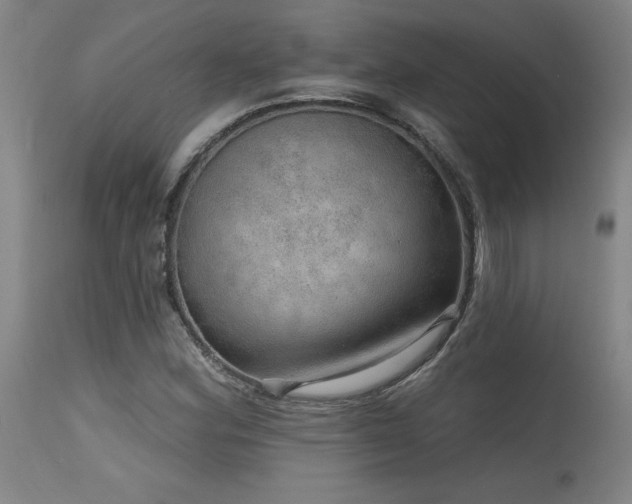 X0000115651164200911101533