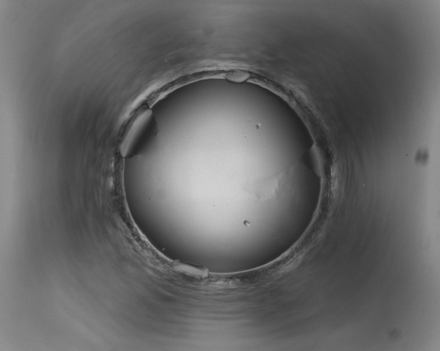 X0000115651165200911101533