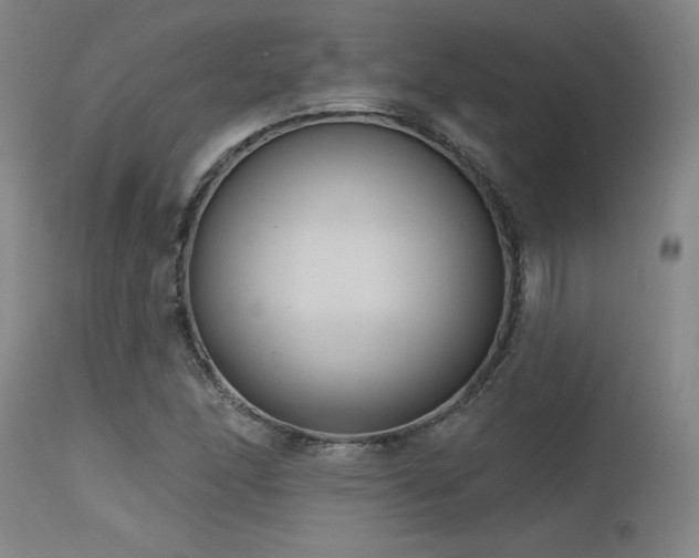 X0000115651166200911101533
