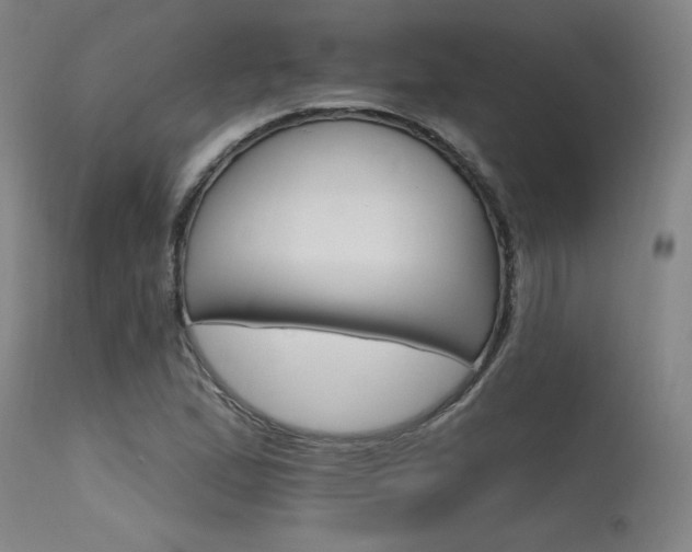 X0000115651167200911101533