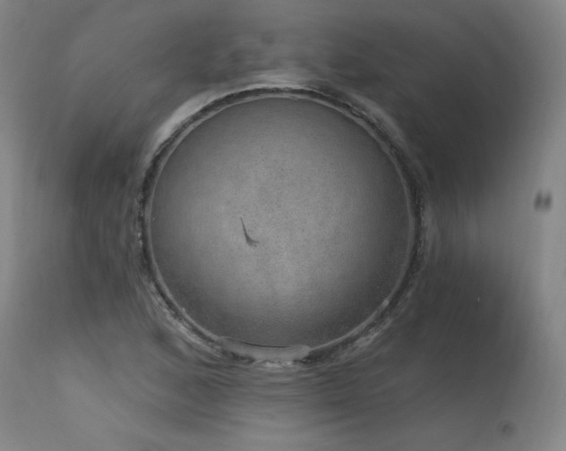 X0000115651168200911101533