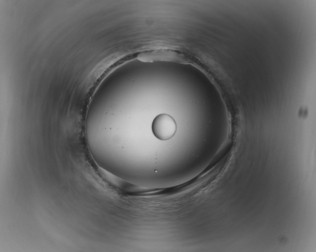 X0000115651169200911101533