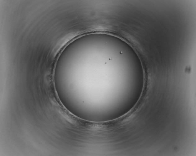 X0000115651170200911101533