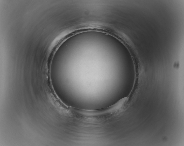 X0000115651172200911101533