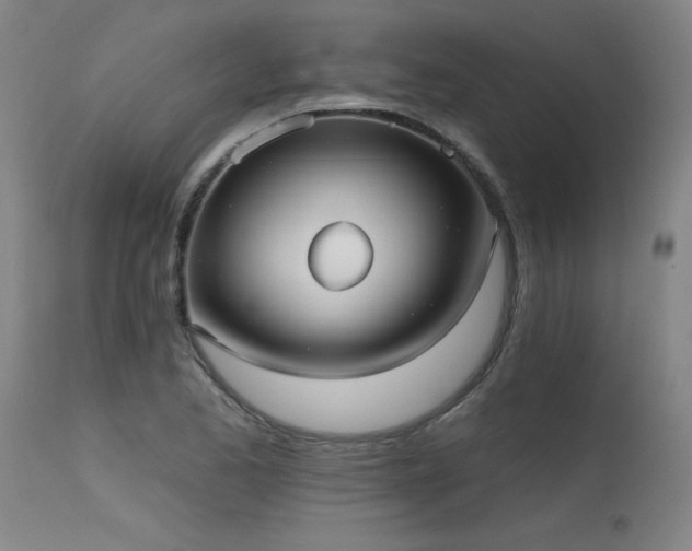 X0000115651173200911101533