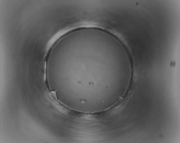X0000115651175200911101533
