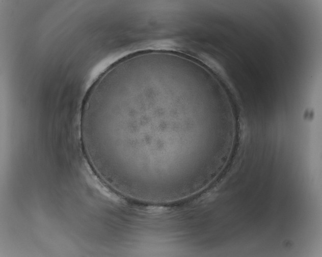 X0000115651176200911101533