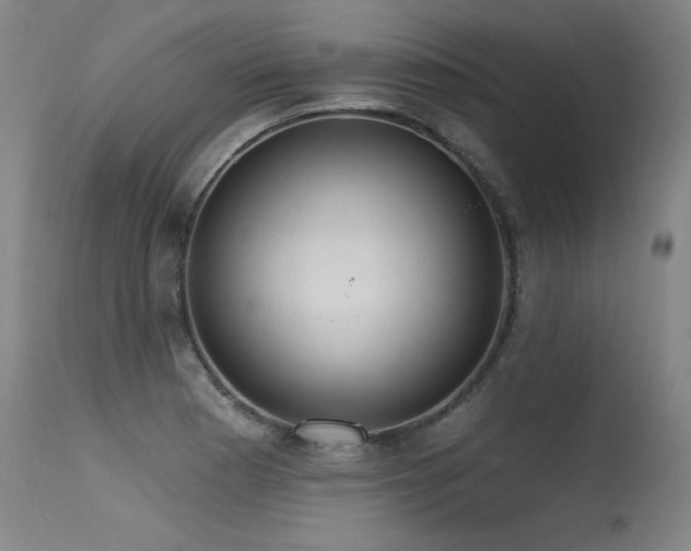 X0000115651177200911101533