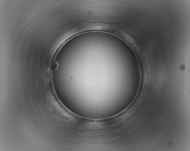X0000115651178200911101533