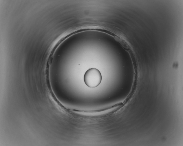 X0000115651181200911101533