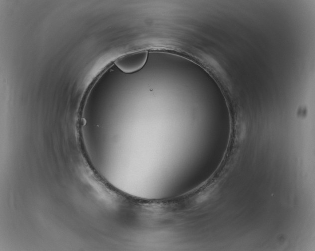 X0000115651182200911101533