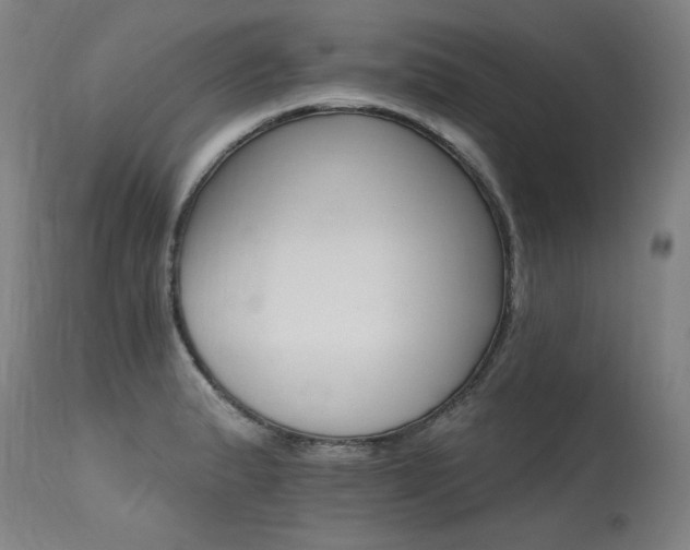 X0000115651183200911101533