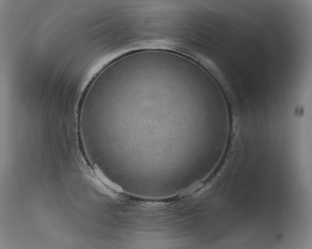 X0000115651184200911101532