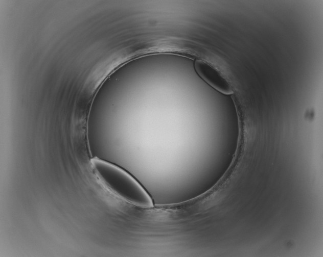 X0000115651185200911101532