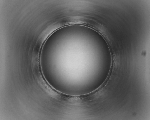 X0000115651186200911101532